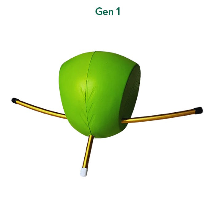 1st generation